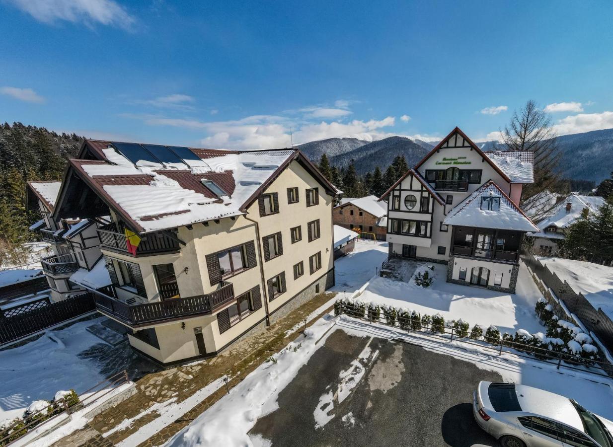 Pensiunea Carmen'S Mansion B Сіная Екстер'єр фото