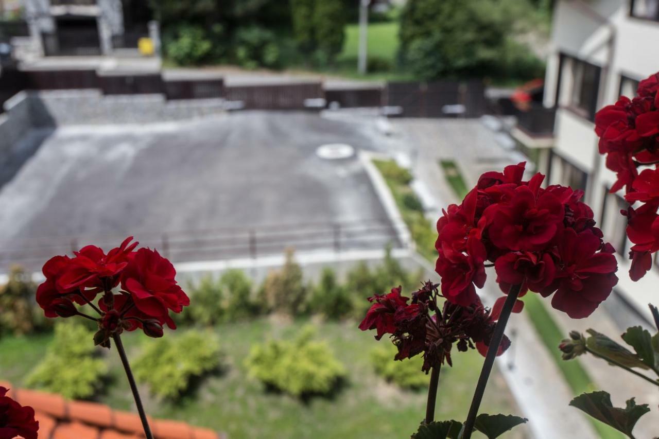 Pensiunea Carmen'S Mansion B Сіная Екстер'єр фото
